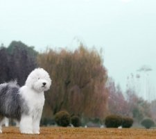 사진 9